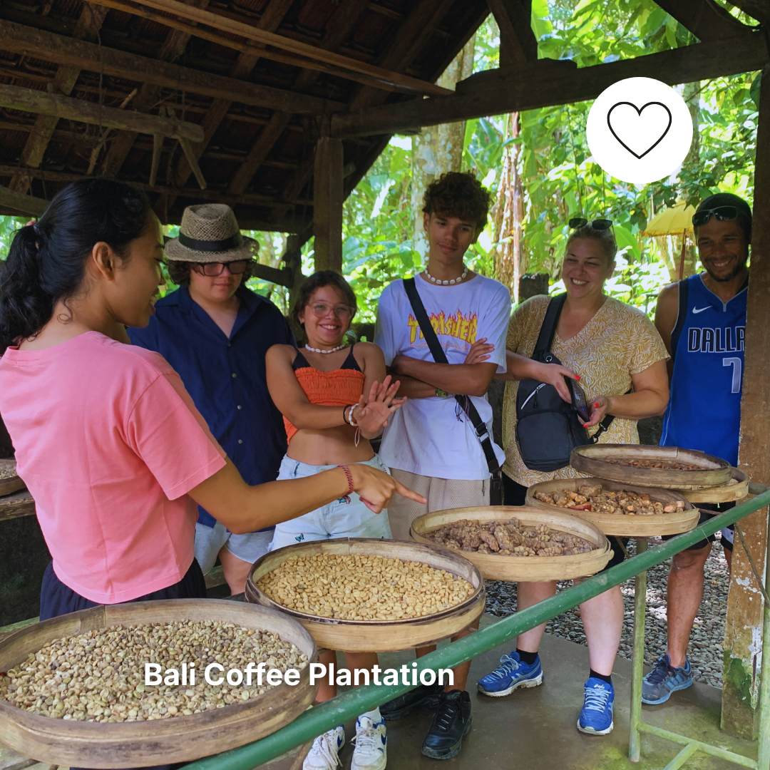 Bali Coffee Plantation