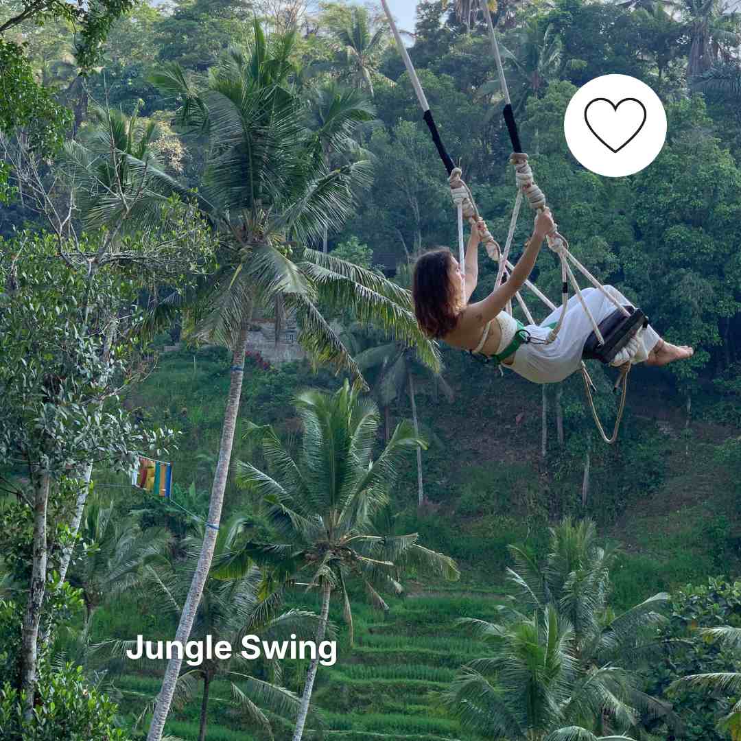 Jungle Swing At Rice Terrace