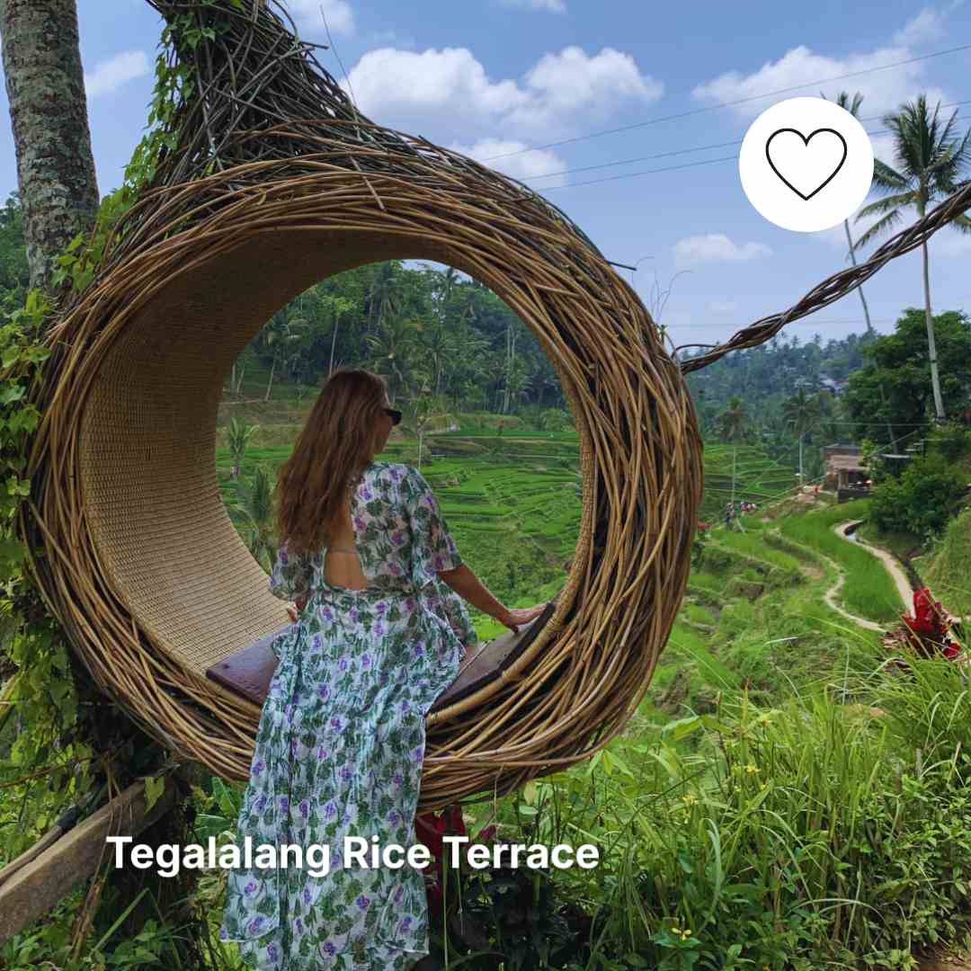 Nest post at rice Terrace