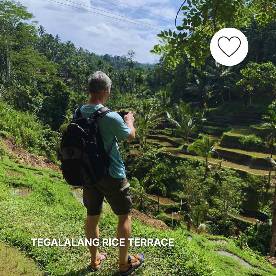 TEGALALANG RICE TERRACE